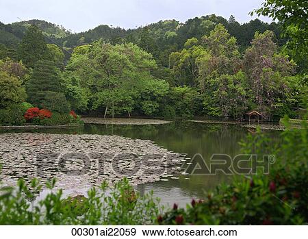Stock Photo - Pond, Tenryu-ji Temple, Kyoto, Japan. Fotosearch