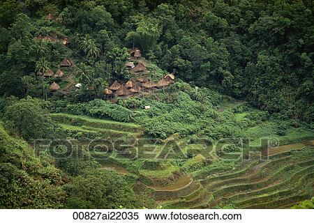 Stock Photography - Rice Terraces, Philippines. Fotosearch