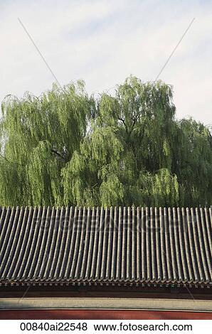Roof of a temple View Large Photo Image Stock Photo - Roof of a temple. Fotosearch