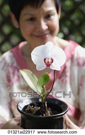 Woman with flower View Large Photo Image Stock Photo - Woman with flower. Fotosearch