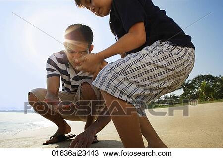 Stock Image - Father and son at the beach picking shells. Fotosearch