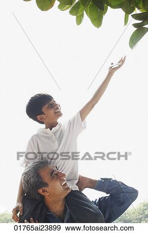 Father with son on shoulders, son reaching up for leaf View Large Photo Image Stock Photo - Father with son on shoulders, son reaching up for leaf. Fotosearch