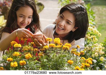 mother and daughter with flowers, girl holding blossoms View Large Photo Image Stock Image - mother and daughter with flowers, girl holding blossoms. Fotosearch