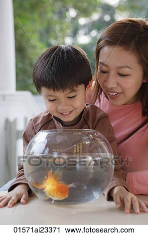 Mother and son looking at goldfish bowl View Large Photo Image Stock Image - Mother and son looking at goldfish bowl. Fotosearch