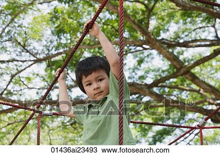 Young boy playing at the park, looking at camera View Large Photo Image Stock Image - Young boy playing at the park, looking at camera. Fotosearch