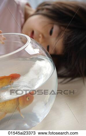 Young girl bend head looking at goldfish bowl View Large Photo Image Stock Image - Young girl bend head looking at goldfish bowl. Fotosearch