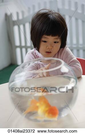 Stock Image - Young girl looking at goldfish bowl. Fotosearch