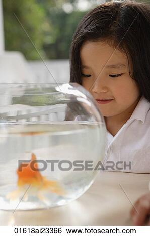 Young girl looking at goldfish bowl View Large Photo Image Stock Photograph - Young girl looking at goldfish bowl. Fotosearch