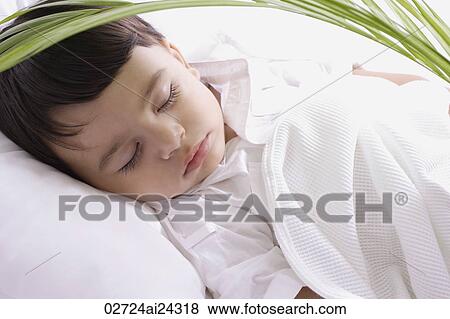 baby boy sleeping under plant View Large Photo Image Stock Photo - baby boy sleeping under plant. Fotosearch