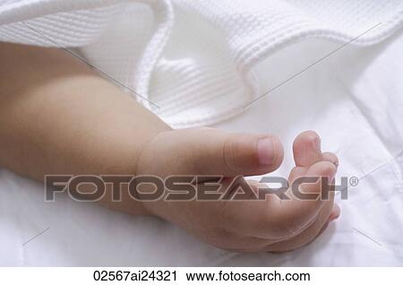 baby's hand View Large Photo Image Stock Image - baby's hand. Fotosearch