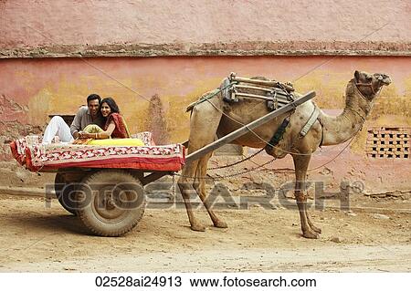 couple on camel cart View Large Photo Image Stock Image - couple on camel cart. Fotosearch