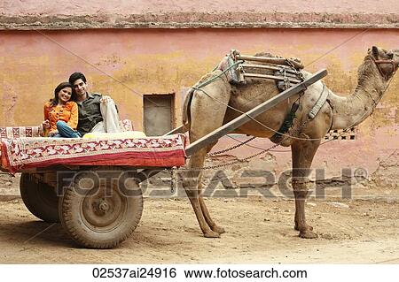 Stock Photograph - couple on camel cart. Fotosearch