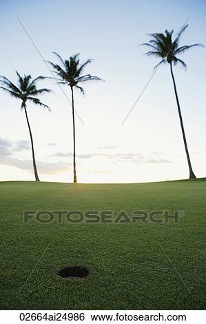 golf course during sunset View Large Photo Image Stock Photograph - golf course during sunset. Fotosearch