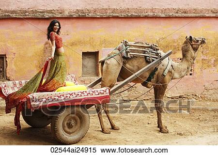woman on camel cart, wearing sari View Large Photo Image Stock Photography - woman on camel cart, wearing sari. Fotosearch