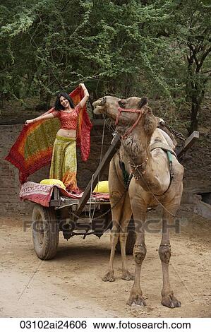young woman in sari, posing on camel cart View Large Photo Image Stock Photograph - young woman in sari, posing on camel cart. Fotosearch