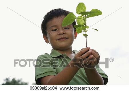 boy holding plant and soil View Large Photo Image Picture - boy holding plant and soil. Fotosearch