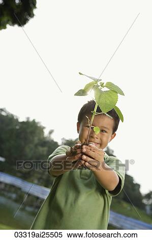 Boy holding plant and soil View Large Photo Image Stock Photography - Boy holding plant and soil. Fotosearch