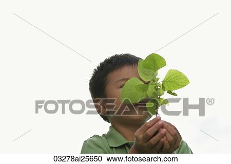 Stock Image - Little boy holding seedling tree. Fotosearch