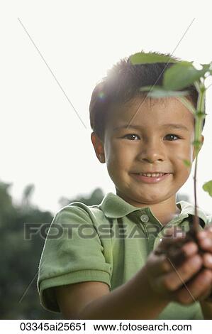 Stock Image - Little boy holding seedling tree. Fotosearch