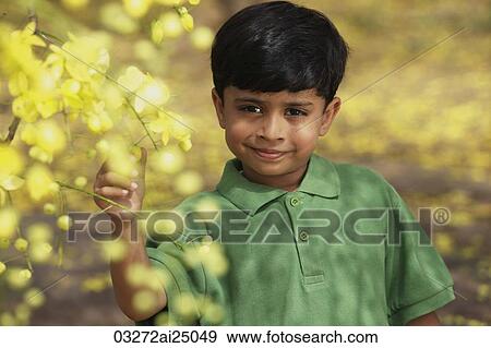 Little boy touching branch View Large Photo Image Stock Photo - Little boy touching branch. Fotosearch