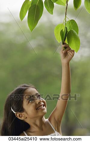 Stock Image - little girl reaching for tree leaf. Fotosearch