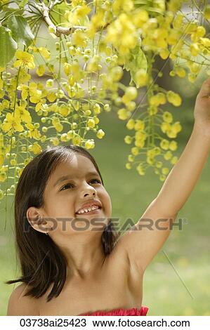 little girl under flowering tree View Large Photo Image Stock Image - little girl under flowering tree. Fotosearch
