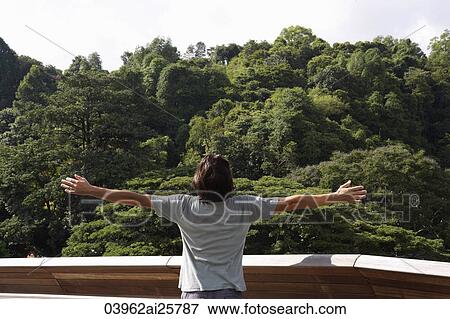 Man with arms outstretched to trees View Large Photo Image Stock Photo - Man with arms outstretched to trees. Fotosearch