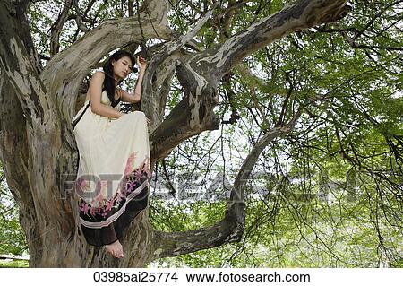 Young woman sitting in tree View Large Photo Image Picture - Young woman sitting in tree. Fotosearch
