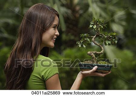 Profile of young woman holding bonsai tree View Large Photo Image Stock Photo - Profile of young woman holding bonsai tree. Fotosearch