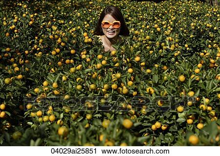 Young woman among orange plants View Large Photo Image Stock Image - Young woman among orange plants. Fotosearch