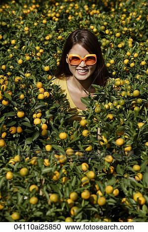 Young woman among orange plants View Large Photo Image Stock Image - Young woman among orange plants. Fotosearch