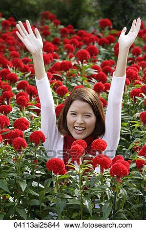 Young woman among red flowers (coxcomb) View Large Photo Image Picture - Young woman among red flowers (coxcomb). Fotosearch