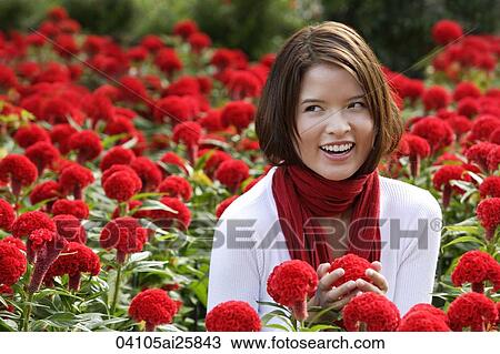 Young woman among red flowers (coxcomb) View Large Photo Image Stock Image - Young woman among red flowers (coxcomb). Fotosearch