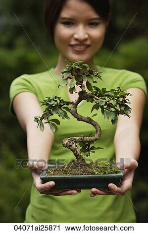 Young woman holding up bonsai tree View Large Photo Image Stock Image - Young woman holding up bonsai tree. Fotosearch