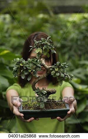 Stock Photo - Young woman holding up bonsai tree. Fotosearch