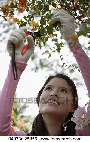 Young woman working in a garden View Large Photo Image Stock Photograph - Young woman working in a garden. Fotosearch