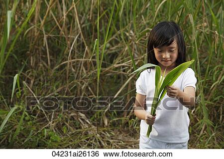 Stock Photograph - Girl looking at leaves.. Fotosearch