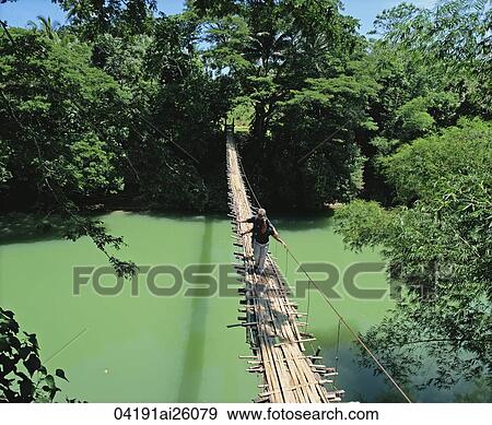 Hanging bridge at Bohol, Philippines View Large Photo Image Stock Photo - Hanging bridge at Bohol, Philippines. Fotosearch