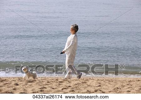 Picture - Older woman walking dog.. Fotosearch