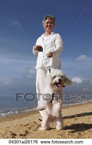 Older woman walking dog. View Large Photo Image Stock Photograph - Older woman walking dog.. Fotosearch