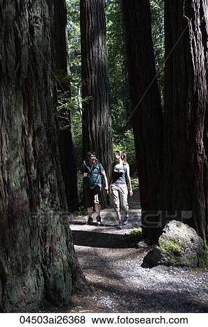 Stock Photo - Young couple hiking among giant redwood trees. Fotosearch