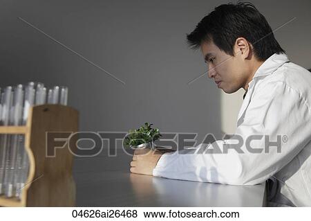 Profile of scientist looking at plant View Large Photo Image Stock Photo - Profile of scientist looking at plant. Fotosearch