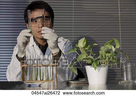 Scientist looking at test tubes. View Large Photo Image Stock Image - Scientist looking at test tubes.. Fotosearch