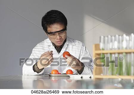 Stock Photo - Scientist looking at tomatoes. Fotosearch