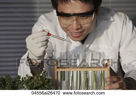 Stock Image - Scientist testing plants in test tube. Fotosearch