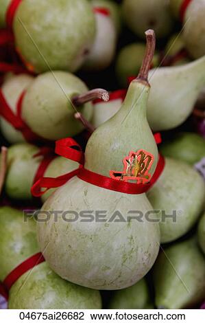 A group of "lucky" gourds. View Large Photo Image Stock Image - A group of "lucky" gourds.. Fotosearch