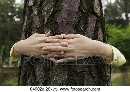 Stock Photography - Close up on woman's hands hugging a tree. Fotosearch