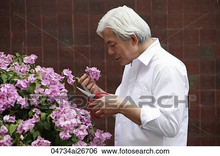 Stock Photograph - Older man smelling flowers in garden. Fotosearch