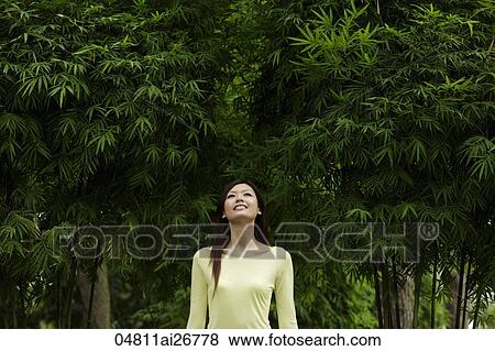 Young woman looking up at bamboo trees View Large Photo Image Stock Photo - Young woman looking up at bamboo trees. Fotosearch