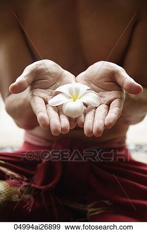 close up of hands holding flower View Large Photo Image Stock Photo - close up of hands holding flower. Fotosearch